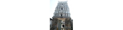 227. திருஇடையாறு